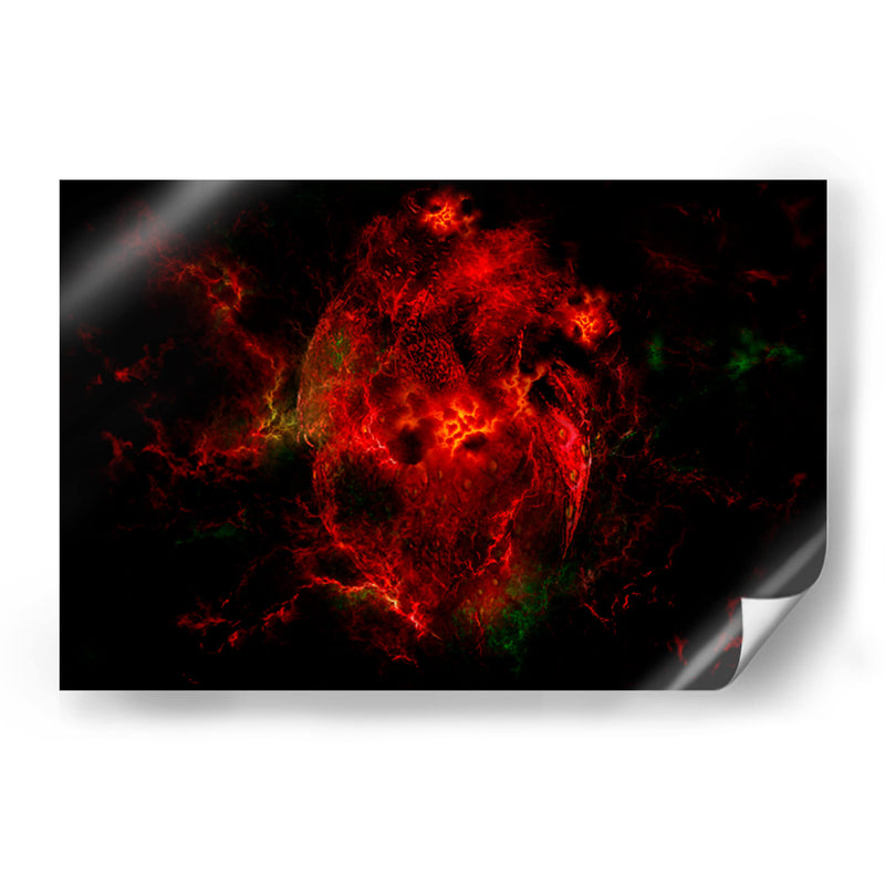 Strawberry heart - Mauricio Silerio | Cuadro decorativo de Canvas Lab