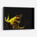 Sun & wing - Mauricio Silerio | Cuadro decorativo de Canvas Lab