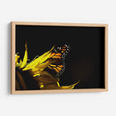 Sun & wing - Mauricio Silerio | Cuadro decorativo de Canvas Lab