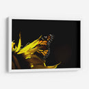 Sun & wing - Mauricio Silerio | Cuadro decorativo de Canvas Lab