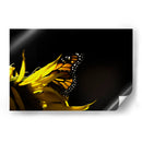 Sun & wing - Mauricio Silerio | Cuadro decorativo de Canvas Lab