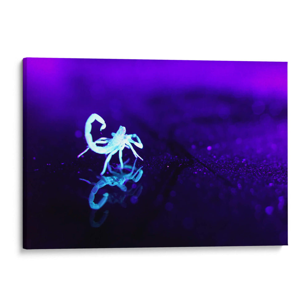 Ultravioleta - Mauricio Silerio | Cuadro decorativo de Canvas Lab