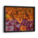 Crazy Little Thing - Nathalie E Langner | Cuadro decorativo de Canvas Lab