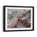 This Way - Nathalie E Langner | Cuadro decorativo de Canvas Lab