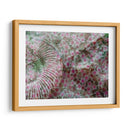 This Way - Nathalie E Langner | Cuadro decorativo de Canvas Lab