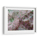 This Way - Nathalie E Langner | Cuadro decorativo de Canvas Lab