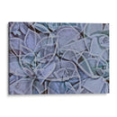 Zap - Nathalie E Langner | Cuadro decorativo de Canvas Lab