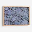 Zap - Nathalie E Langner | Cuadro decorativo de Canvas Lab