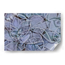 Zap - Nathalie E Langner | Cuadro decorativo de Canvas Lab