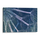 Beware - Nathalie E Langner | Cuadro decorativo de Canvas Lab