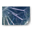 Beware - Nathalie E Langner | Cuadro decorativo de Canvas Lab