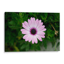 Flower - GaryML | Cuadro decorativo de Canvas Lab