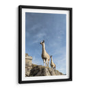 Dos Llamas - Luis Martínez | Cuadro decorativo de Canvas Lab