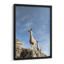 Dos Llamas - Luis Martínez | Cuadro decorativo de Canvas Lab