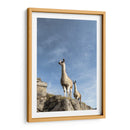Dos Llamas - Luis Martínez | Cuadro decorativo de Canvas Lab