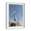Dos Llamas - Luis Martínez | Cuadro decorativo de Canvas Lab
