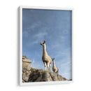 Dos Llamas - Luis Martínez | Cuadro decorativo de Canvas Lab