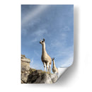 Dos Llamas - Luis Martínez | Cuadro decorativo de Canvas Lab