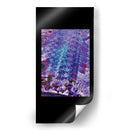 Abstracción #24 - LAGUREN