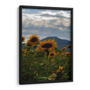 Campo de Girasoles 1 - moraviorato | Cuadro decorativo de Canvas Lab
