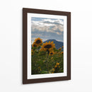 Campo de Girasoles 1 - moraviorato | Cuadro decorativo de Canvas Lab