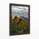 Campo de Girasoles 1 - moraviorato | Cuadro decorativo de Canvas Lab