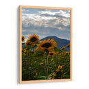 Campo de Girasoles 1 - moraviorato | Cuadro decorativo de Canvas Lab