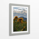 Campo de Girasoles 1 - moraviorato | Cuadro decorativo de Canvas Lab