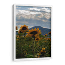 Campo de Girasoles 1 - moraviorato | Cuadro decorativo de Canvas Lab