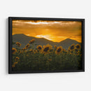 campo de girasoles 2 - moraviorato | Cuadro decorativo de Canvas Lab