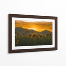 campo de girasoles 2 - moraviorato | Cuadro decorativo de Canvas Lab