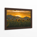 campo de girasoles 2 - moraviorato | Cuadro decorativo de Canvas Lab