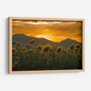 campo de girasoles 2 - moraviorato | Cuadro decorativo de Canvas Lab