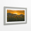 campo de girasoles 2 - moraviorato | Cuadro decorativo de Canvas Lab