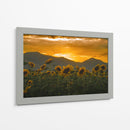 campo de girasoles 2 - moraviorato | Cuadro decorativo de Canvas Lab