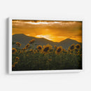 campo de girasoles 2 - moraviorato | Cuadro decorativo de Canvas Lab