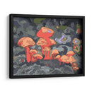 Hongos - Noemi Hernandez | Cuadro decorativo de Canvas Lab