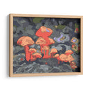 Hongos - Noemi Hernandez | Cuadro decorativo de Canvas Lab