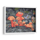 Hongos - Noemi Hernandez | Cuadro decorativo de Canvas Lab