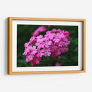 Florecer Rosa - Der Adler | Cuadro decorativo de Canvas Lab