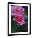 Florecer 1 - Der Adler | Cuadro decorativo de Canvas Lab