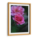 Florecer 1 - Der Adler | Cuadro decorativo de Canvas Lab