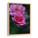 Florecer 1 - Der Adler | Cuadro decorativo de Canvas Lab