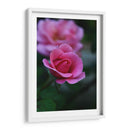 Florecer 1 - Der Adler | Cuadro decorativo de Canvas Lab