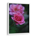 Florecer 1 - Der Adler | Cuadro decorativo de Canvas Lab