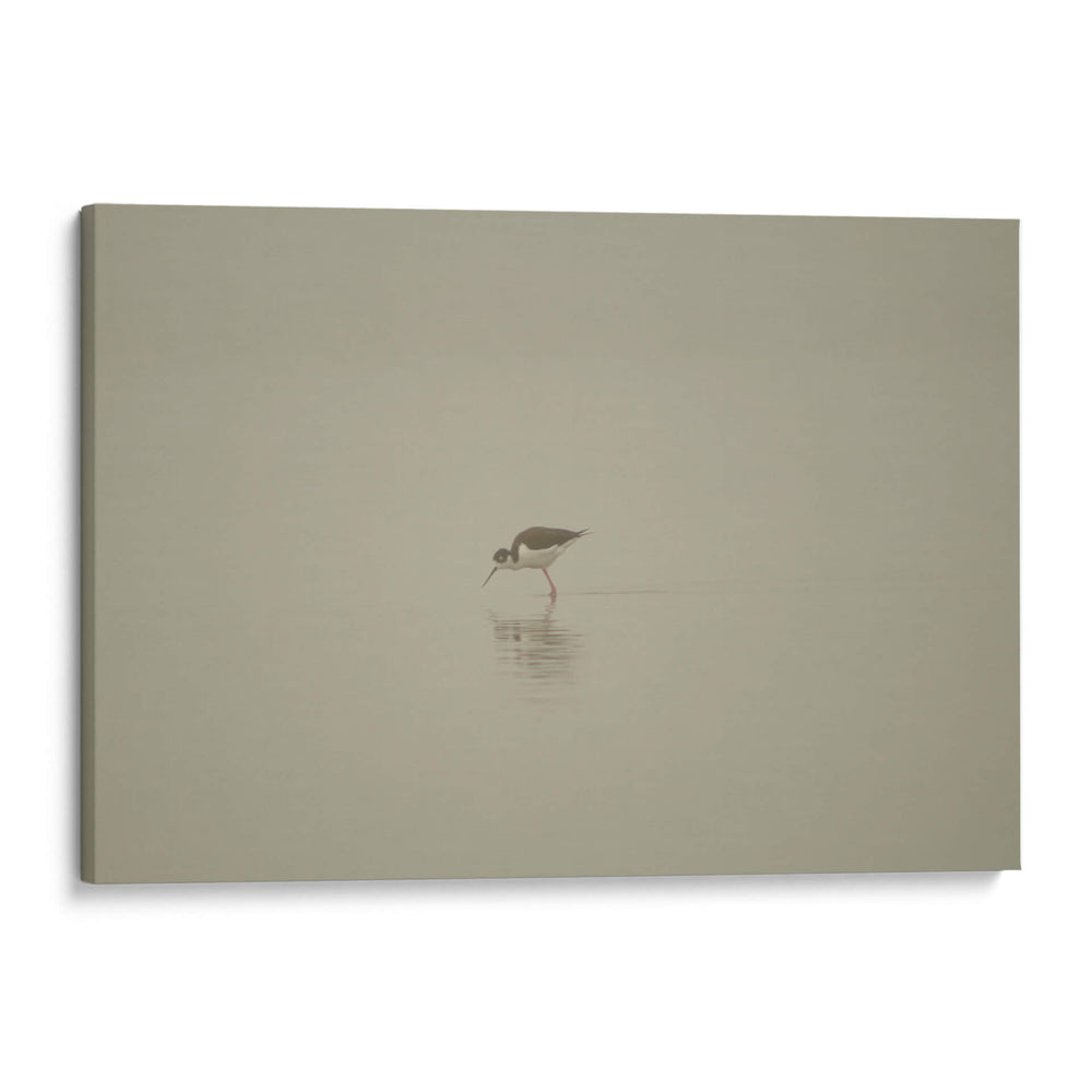 Cigüeñuelas - moraviorato | Cuadro decorativo de Canvas Lab