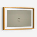 Cigüeñuelas - moraviorato | Cuadro decorativo de Canvas Lab