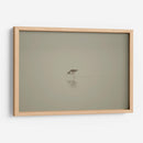 Cigüeñuelas - moraviorato | Cuadro decorativo de Canvas Lab