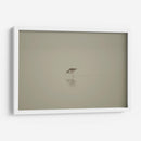 Cigüeñuelas - moraviorato | Cuadro decorativo de Canvas Lab