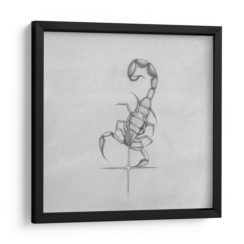 Scorpio - Iván Terrible | Cuadro decorativo de Canvas Lab